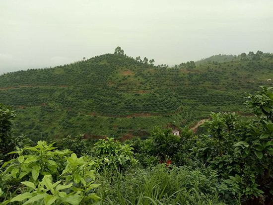 基地風采