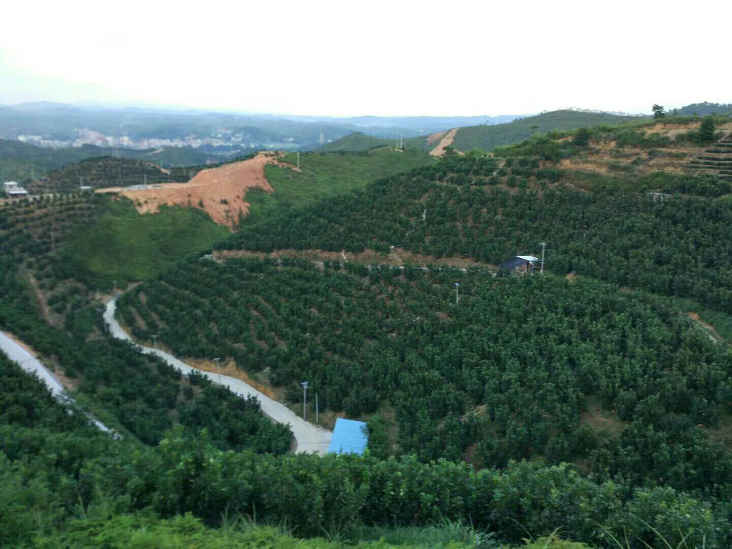 基地風采